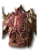 Diablo 4 Blood Artisan's Cuirass